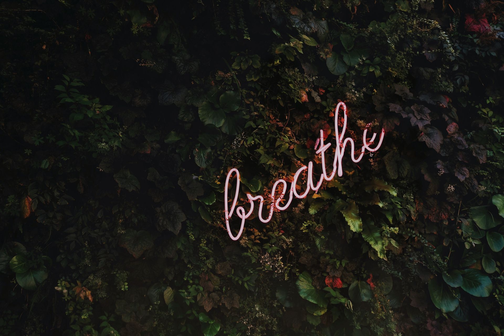 ...And breathe!