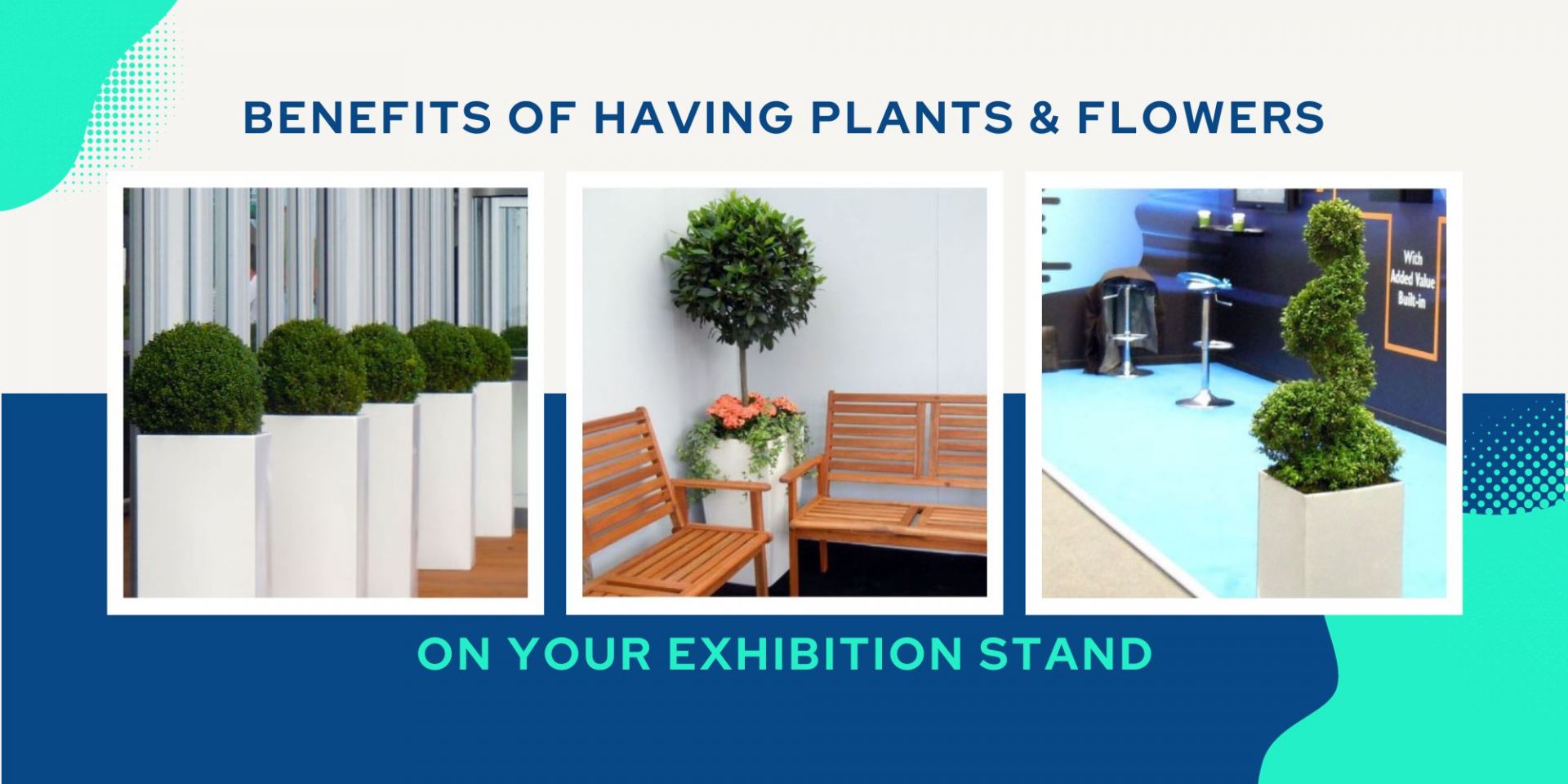 Plants and Flowers for Hire