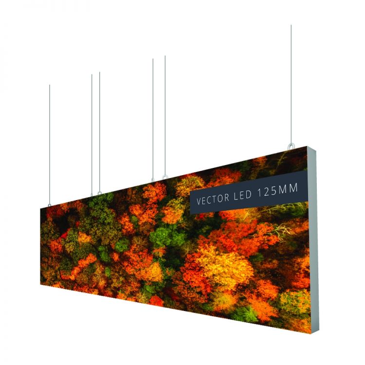 Buy Vector LED Hanging Structure
